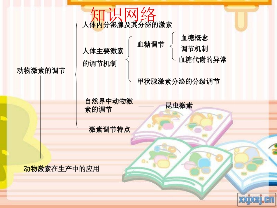 通过激素的调节高三一轮复习_第3页