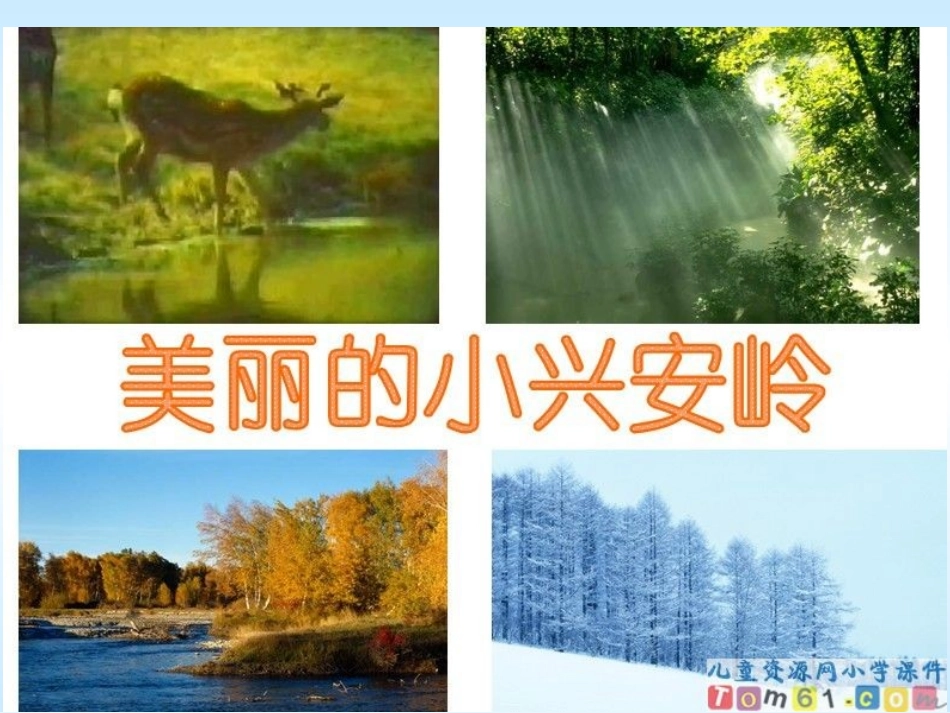 美丽的小兴安岭课件_第2页