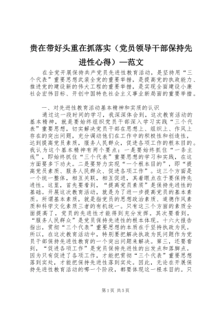 贵在带好头重在抓落实（党员领导干部保持先进性心得）—范文