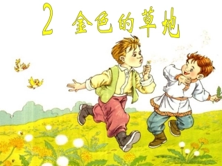 金色的草地第课时