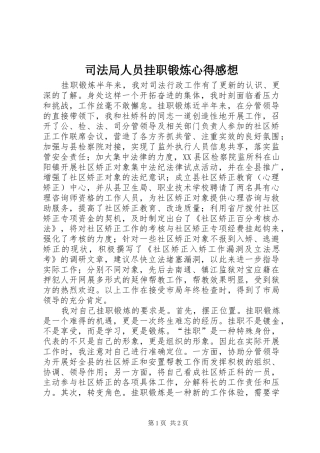 司法局人员挂职锻炼心得感想