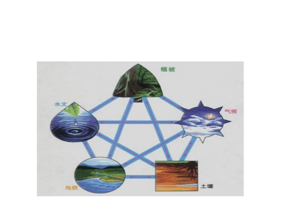 第一节自然地理环境的整体性 (2)_第2页