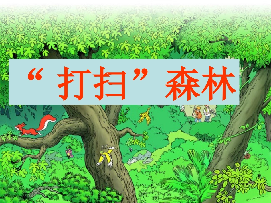 大自然的启示四年语文课件_第2页