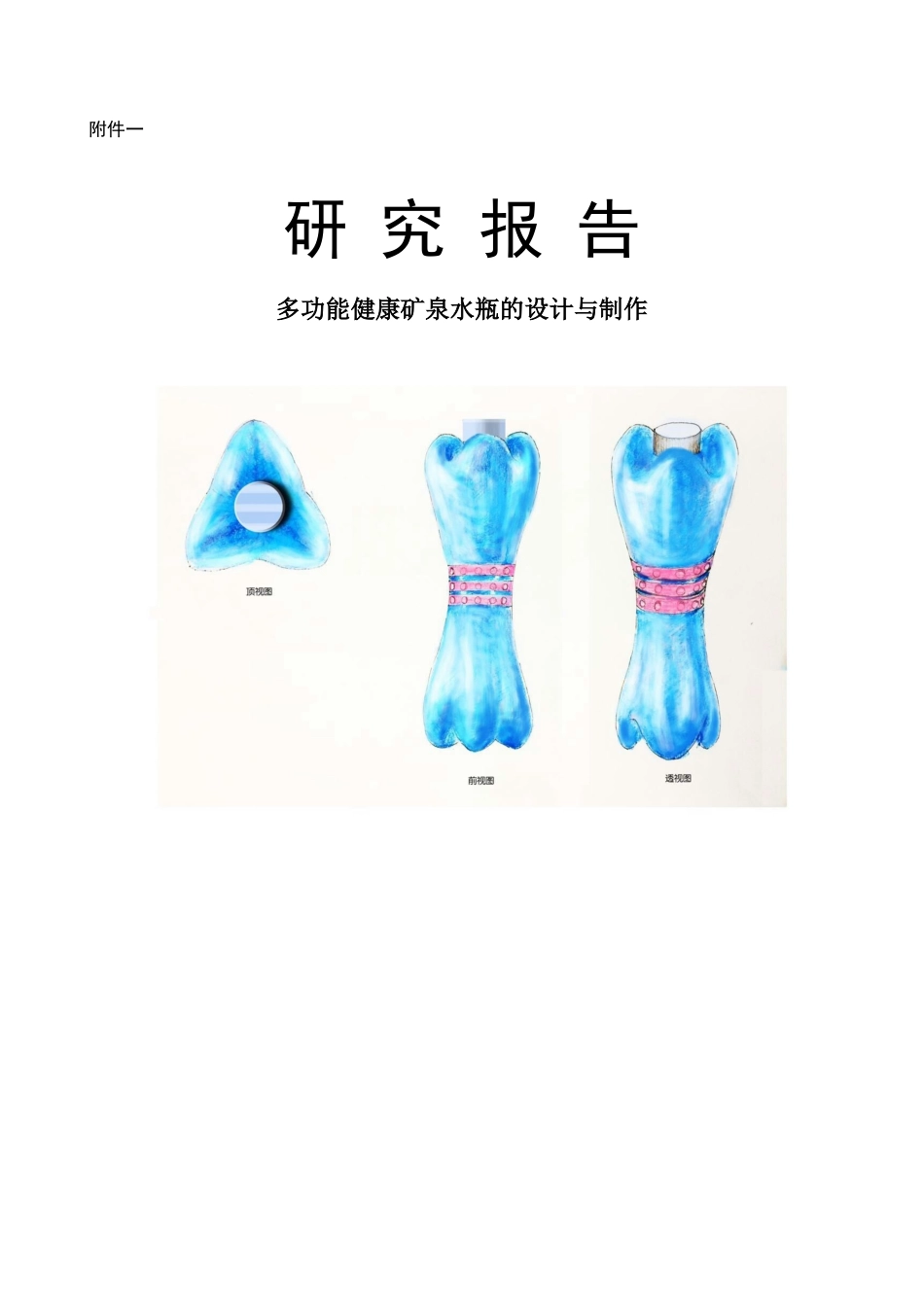 研究报告《多功能健康矿泉水瓶》_第1页