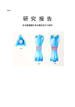 研究报告《多功能健康矿泉水瓶》