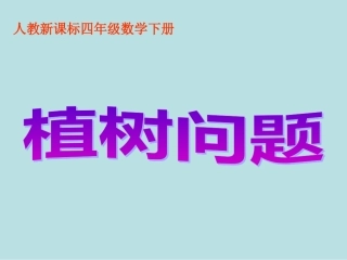 《植树问题》第一课时