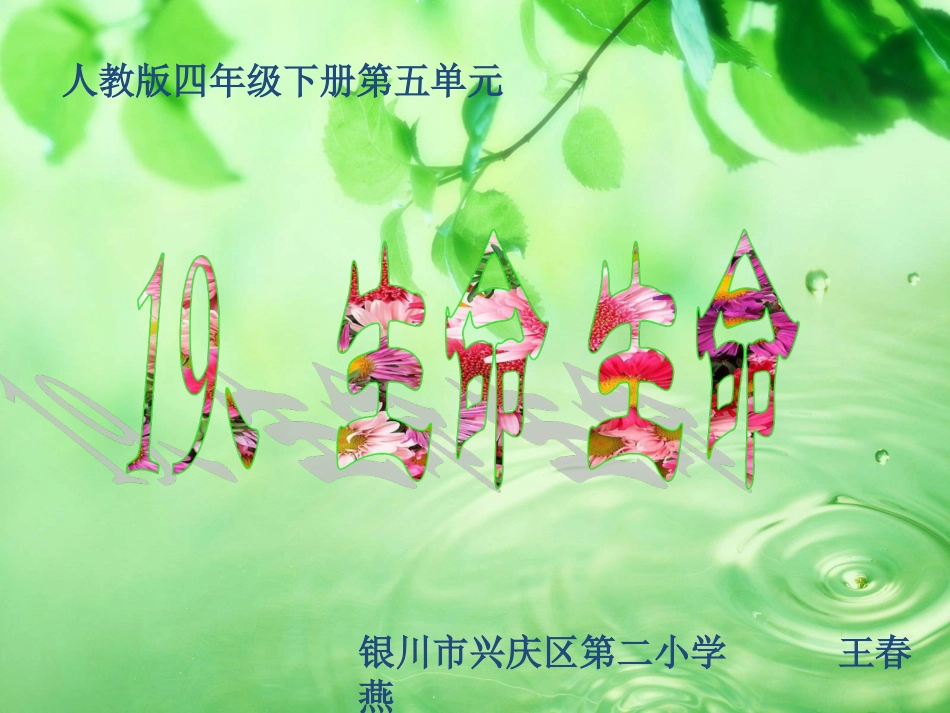 《生命生命》教学课件2003版_第1页