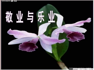 敬业与乐业PPT