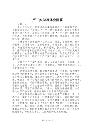 三严三实学习体会两篇