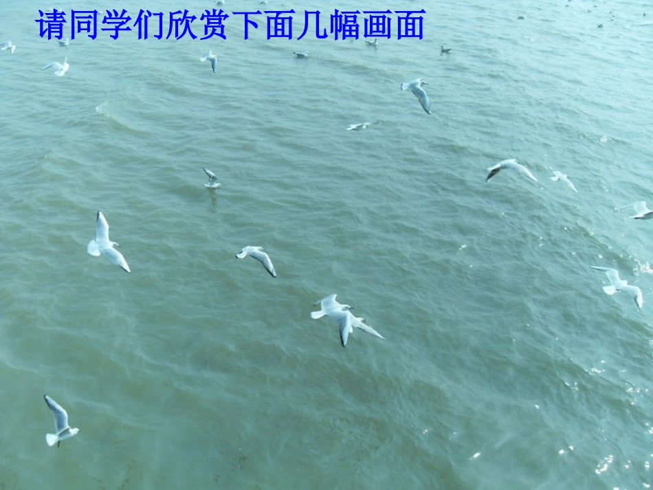 第四单元课题1爱护水资源_第1页