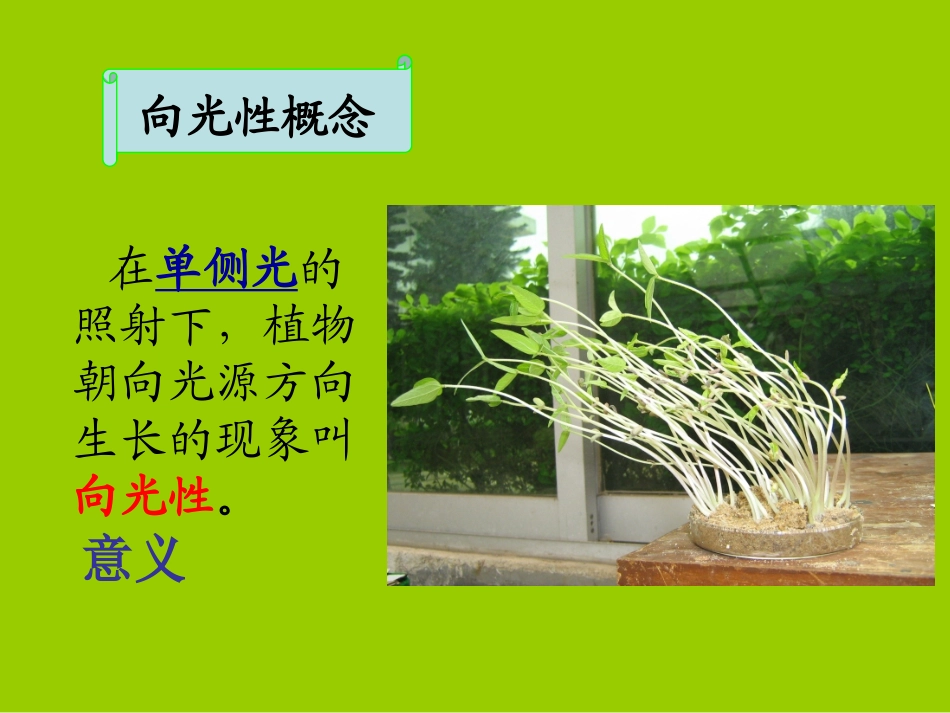 人教版教学课件必修3_第3章_第1节_植物生长素的发现_第2页