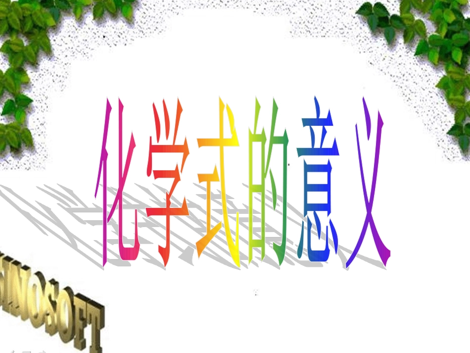 第一课时化学式_第2页