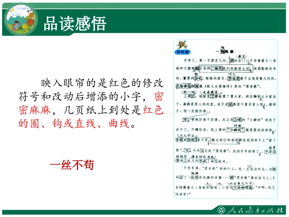 那片绿绿的爬山虎课件_第3页