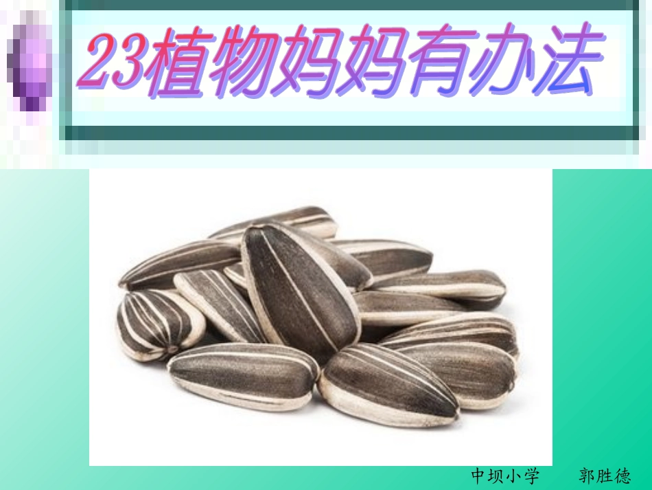《植物妈妈有办法》PPT_第1页