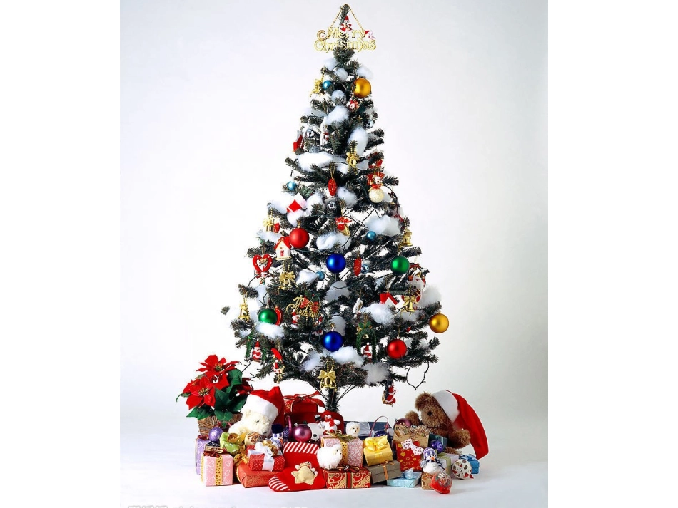 《给予树》PPT课件_第2页