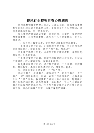 作风行业整顿自查心得感想