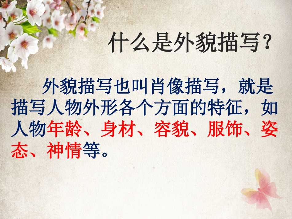 作文片段训练之人物外貌描写（林丽媚）_第3页