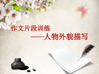 作文片段训练之人物外貌描写（林丽媚）