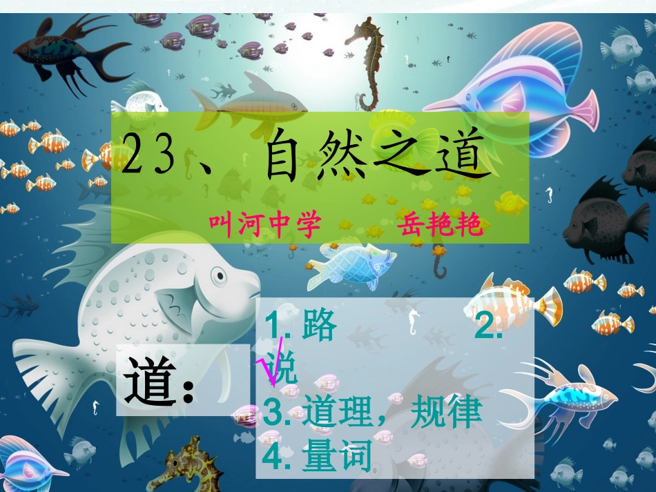 《自然之道》_第1页