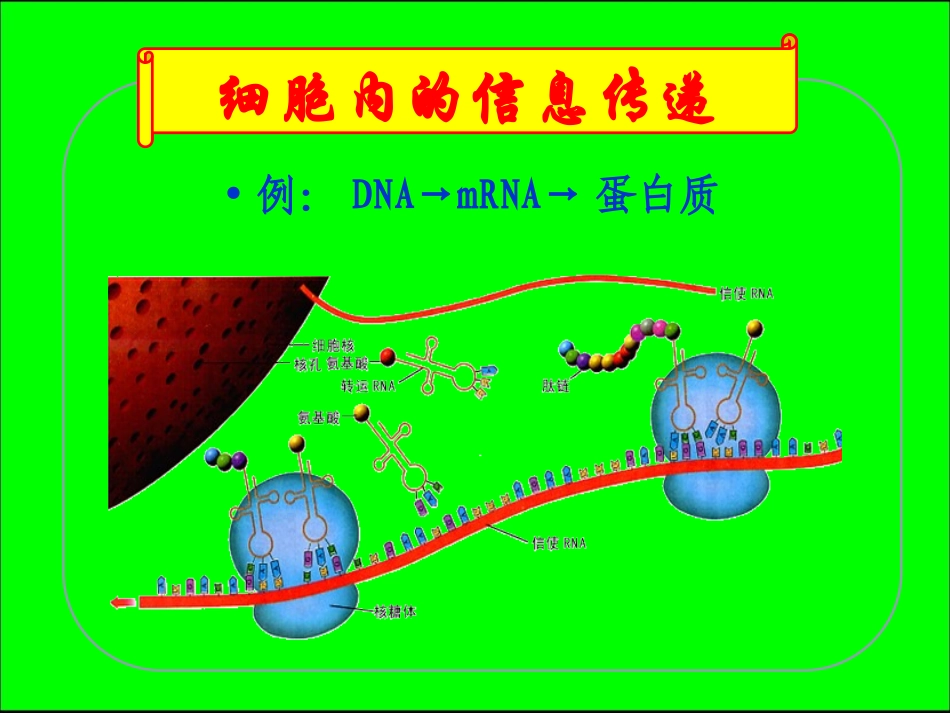 生态系统信息传递_第1页
