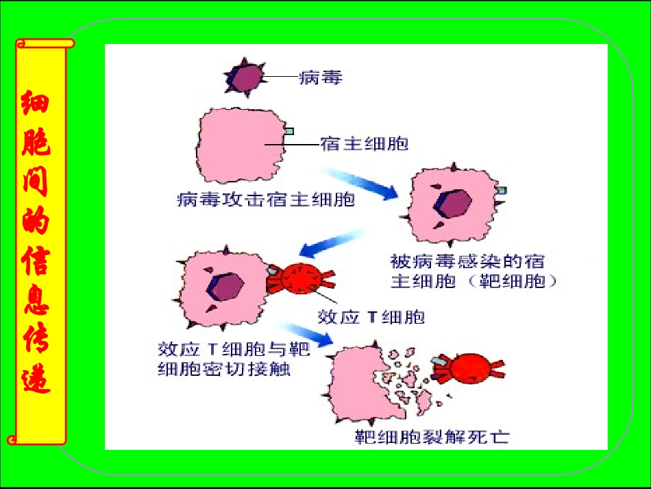 生态系统信息传递_第2页