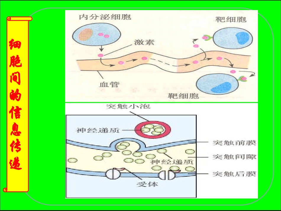 生态系统信息传递_第3页