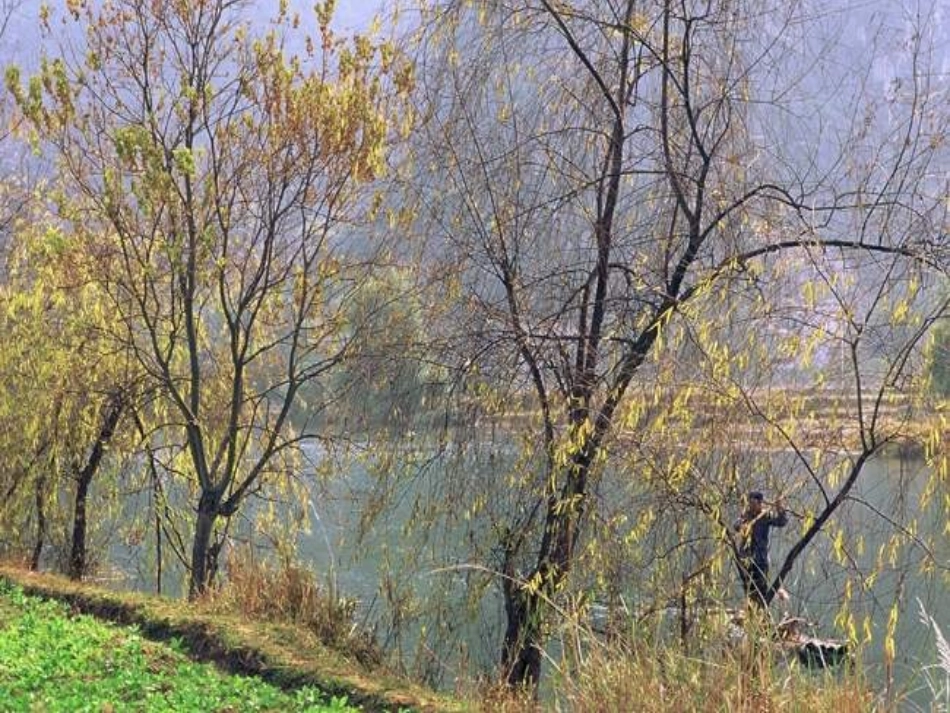 人教版语文二上15《小柳树和小枣树》课件(3)_第3页