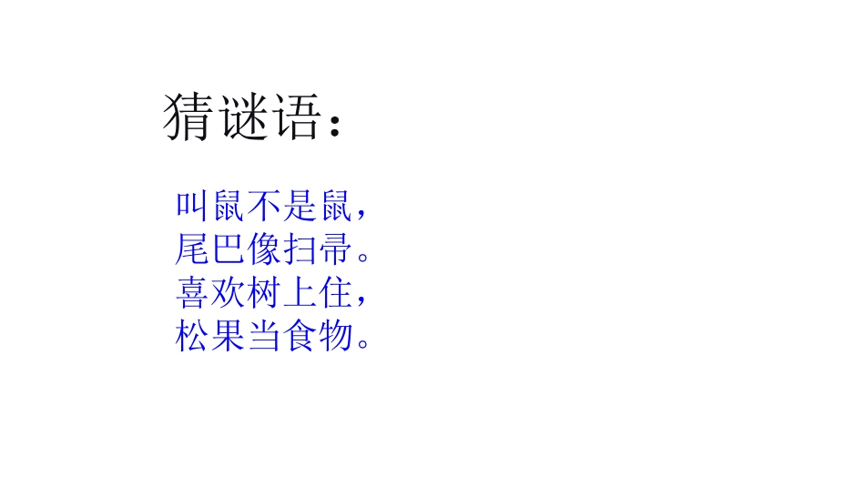 《跑进家来的松鼠》课件_第1页