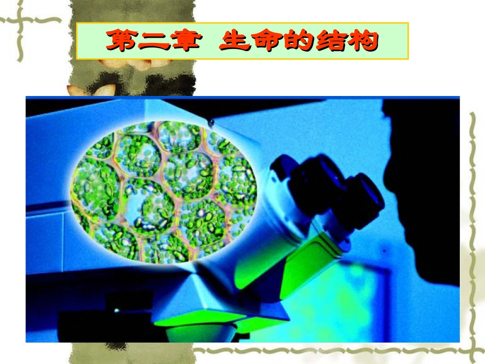 浙科版必修1第二章第四节-细胞核-第五节-原核细胞_第1页