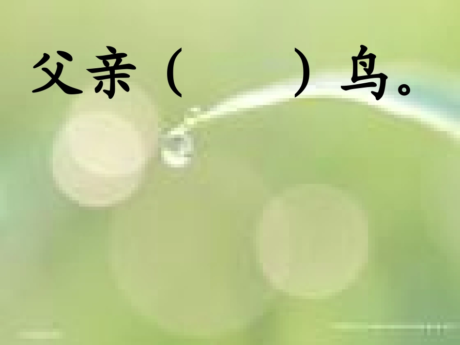 人教版语文二上29《父亲和鸟》课件(4)_第3页