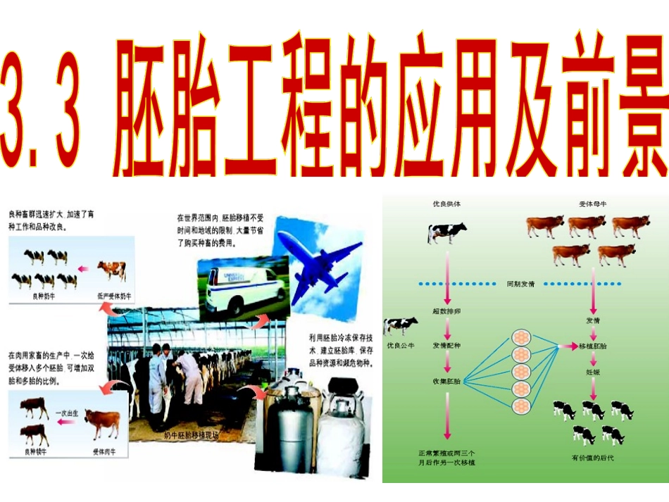 胚胎工程的应用及前景课件_第1页