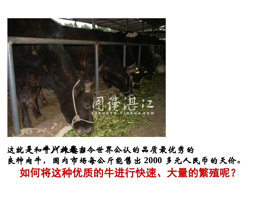 胚胎工程的应用及前景课件_第3页