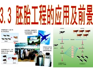 胚胎工程的应用及前景课件