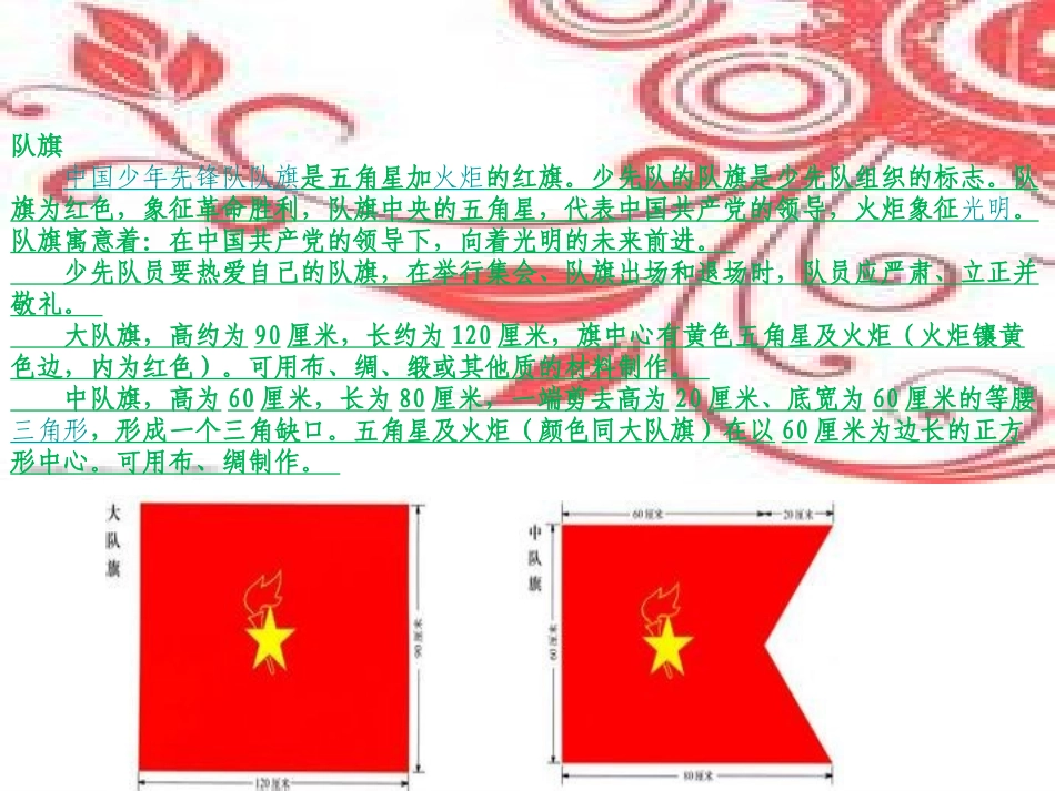 中国少年先锋队_第3页