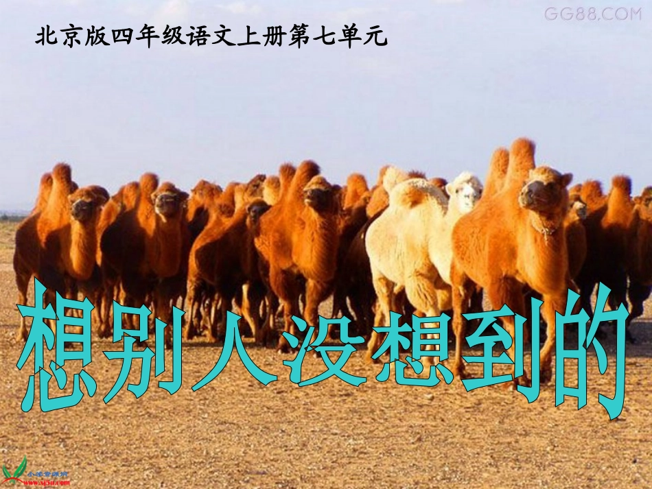 (北京版)四年级语文上册课件_想别人没想到的_2[1]1_第1页