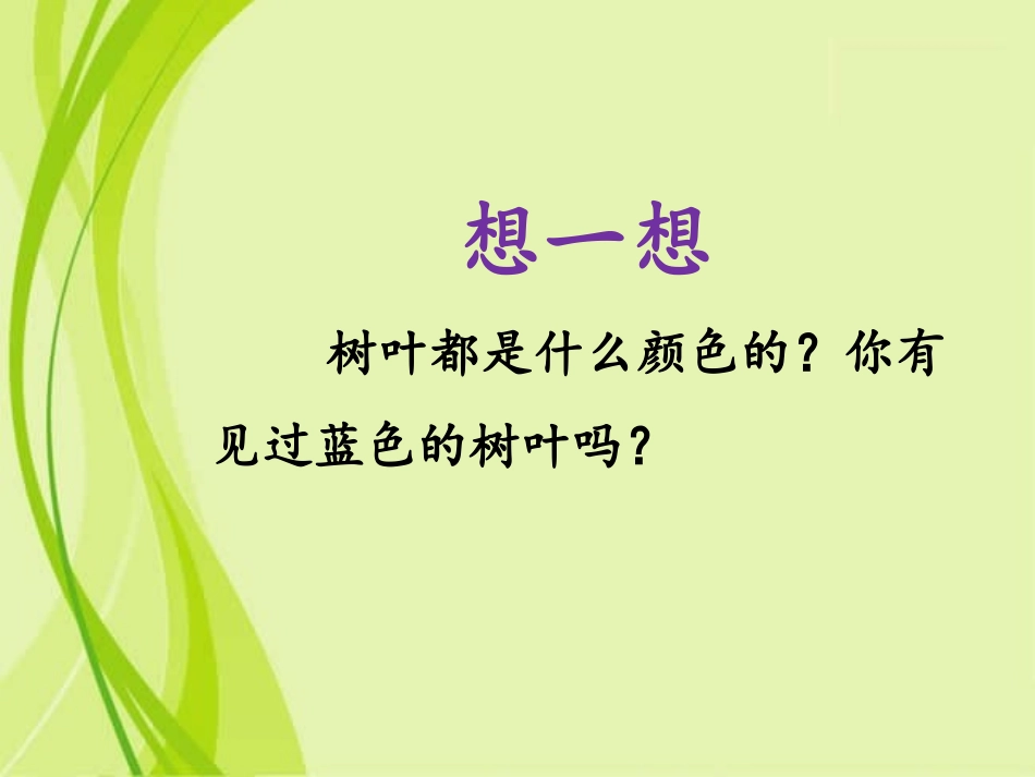 《蓝树叶》课件_第2页