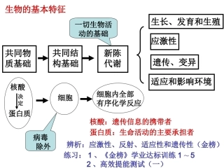 绪论和化学元素
