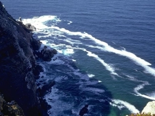 新人教第四单元课题1爱护水资源