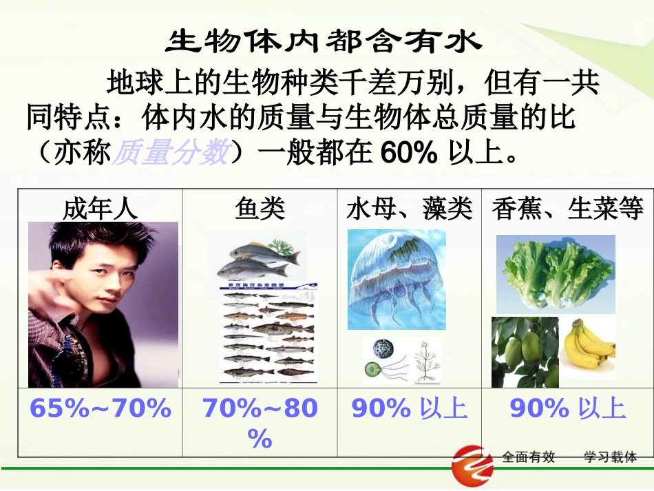 水的组成课件共张PPT_第3页