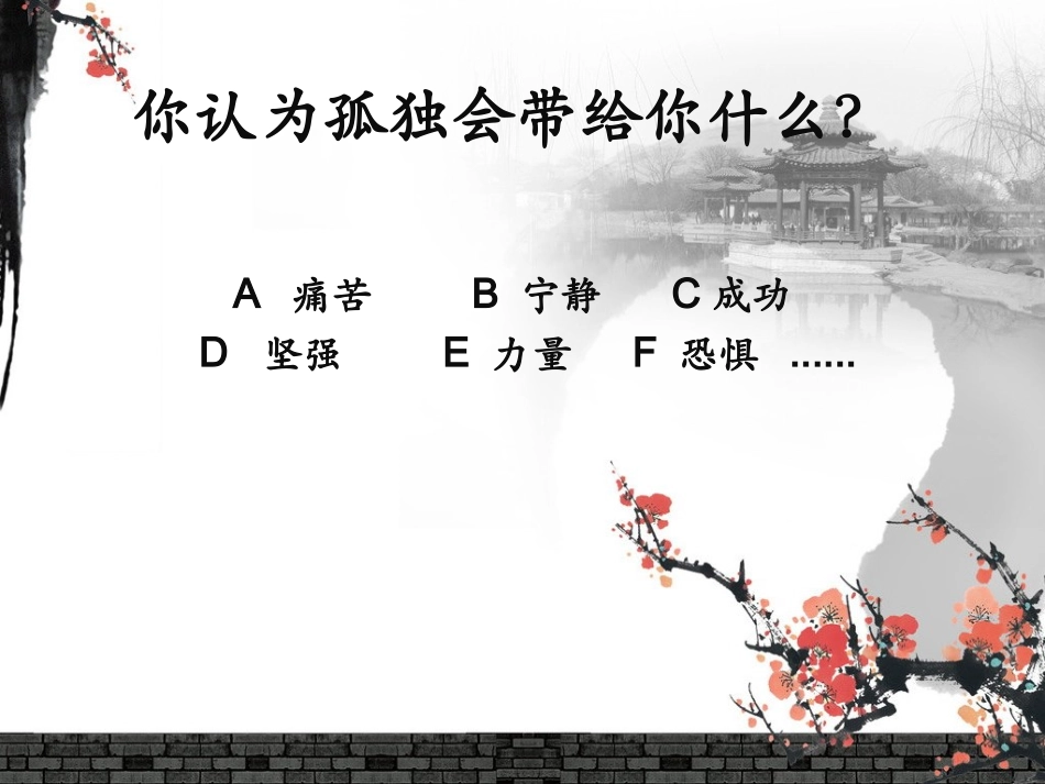 《孤独之旅》课件_第2页