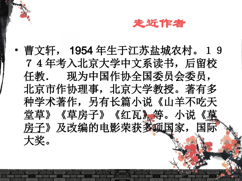 《孤独之旅》课件_第3页