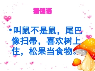 《跑进家来的松鼠》 (2)