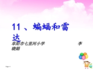 蝙蝠和雷达完美版