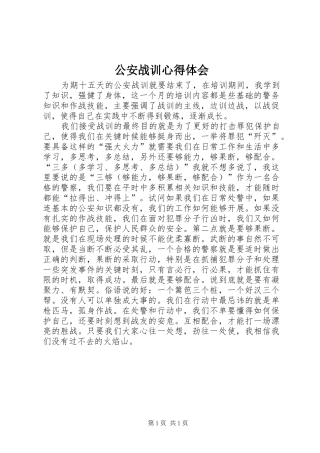公安战训心得体会
