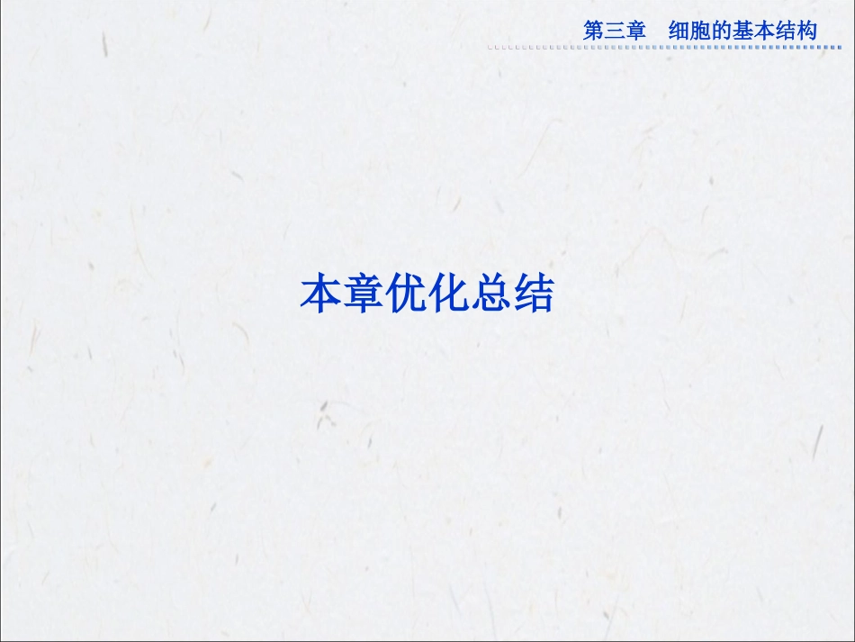 第三章本章优化总结_第1页