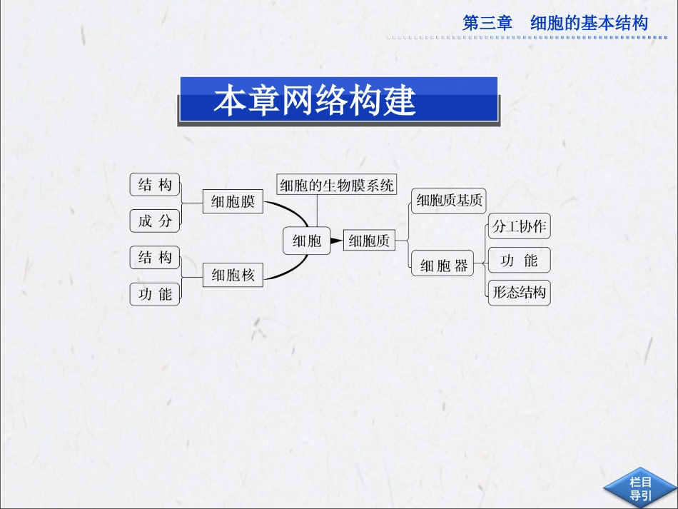 第三章本章优化总结_第2页