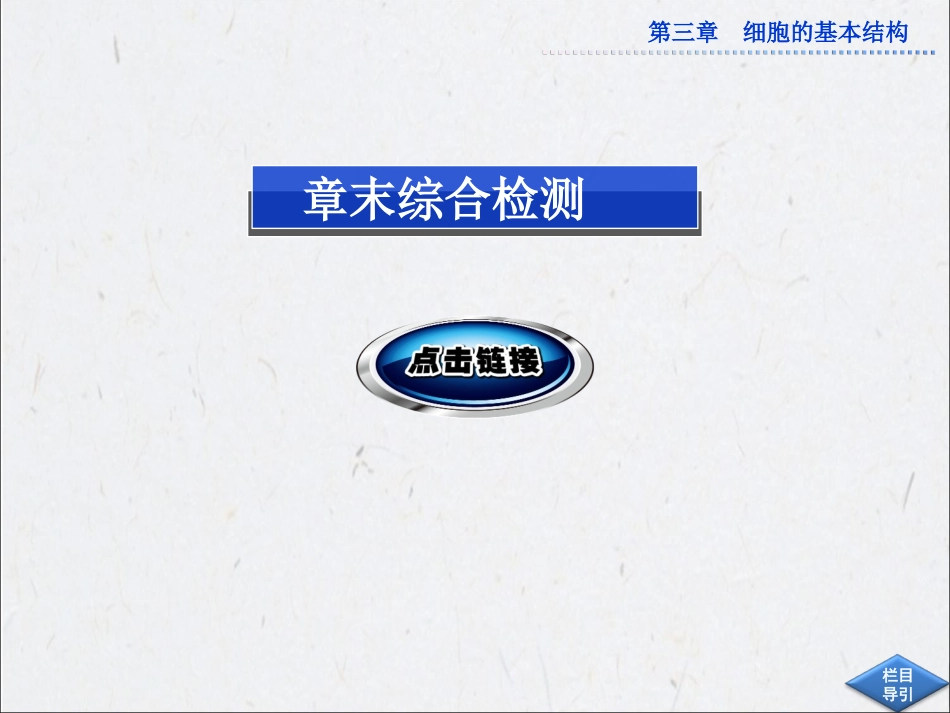 第三章本章优化总结_第3页