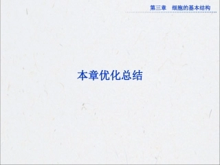 第三章本章优化总结