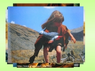 二年级语文上册识字七课件(2)