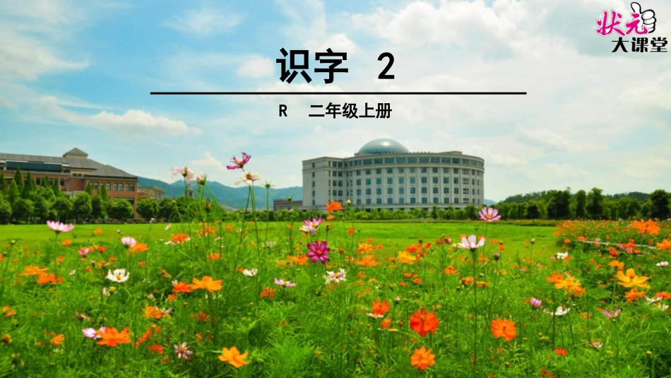识字2 (2)_第1页